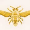 One Bee 001 - Dorado
