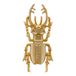 Alternative view of One Maculi 001